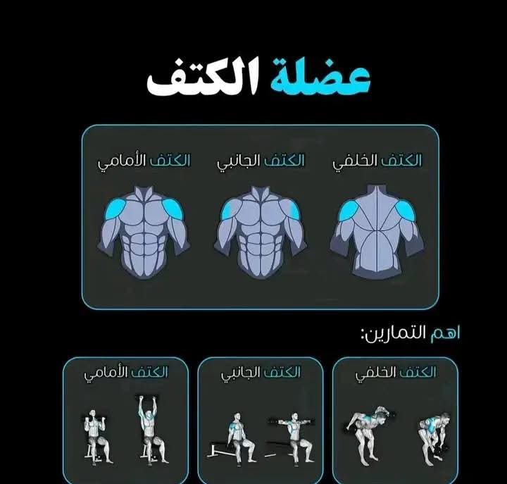 عضلات الكتفين